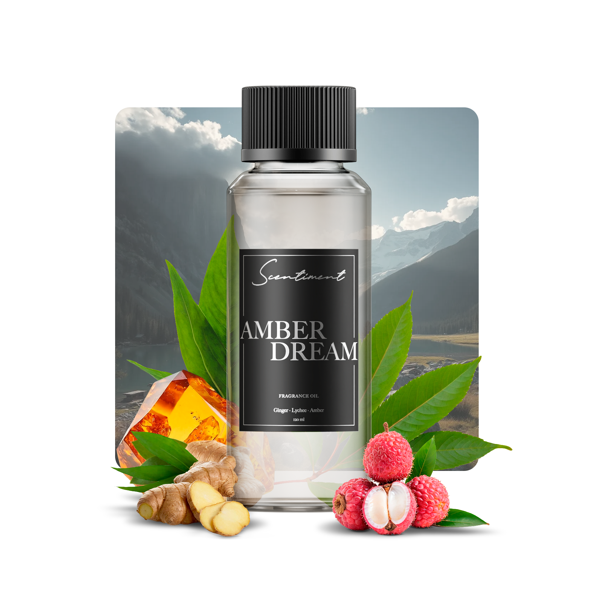 Amber Dream Fragrance Oil for Relaxation