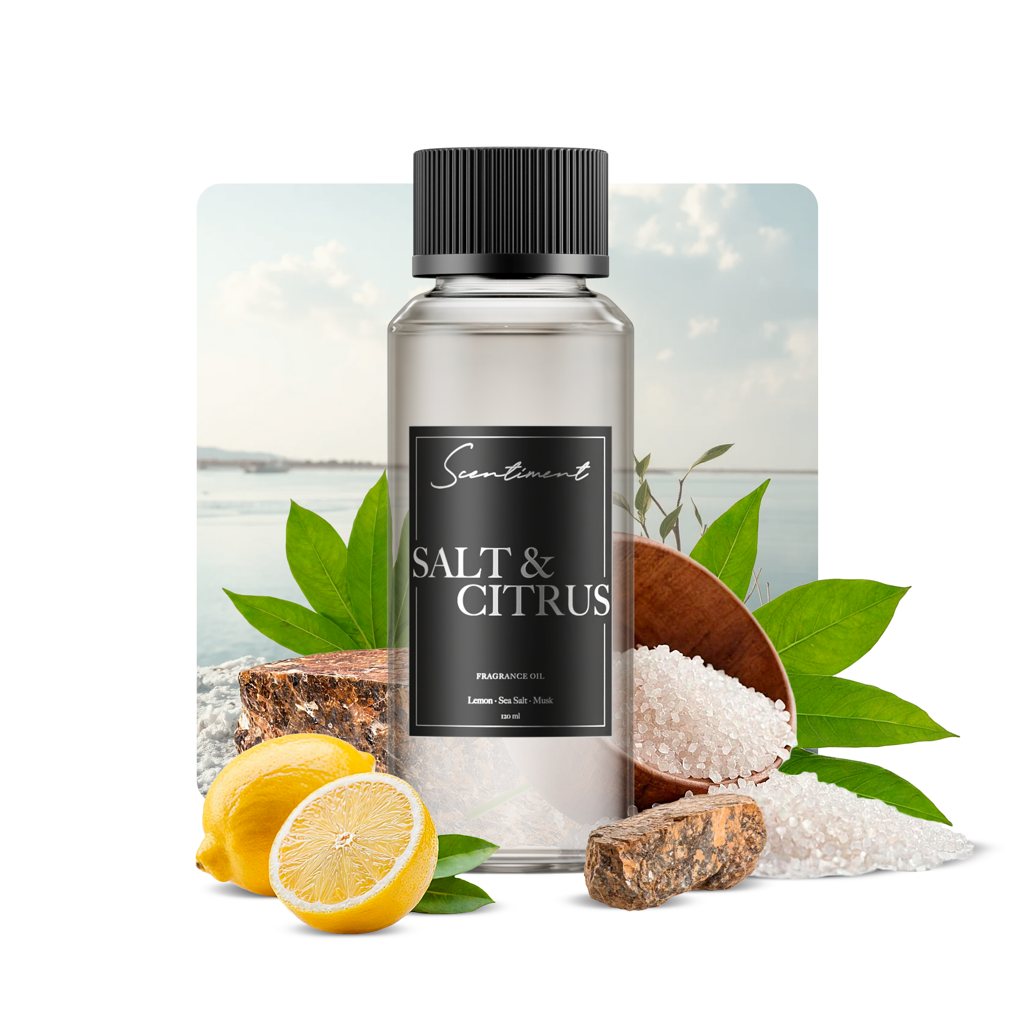 Zesty Salt & Citrus Seasoning Blend