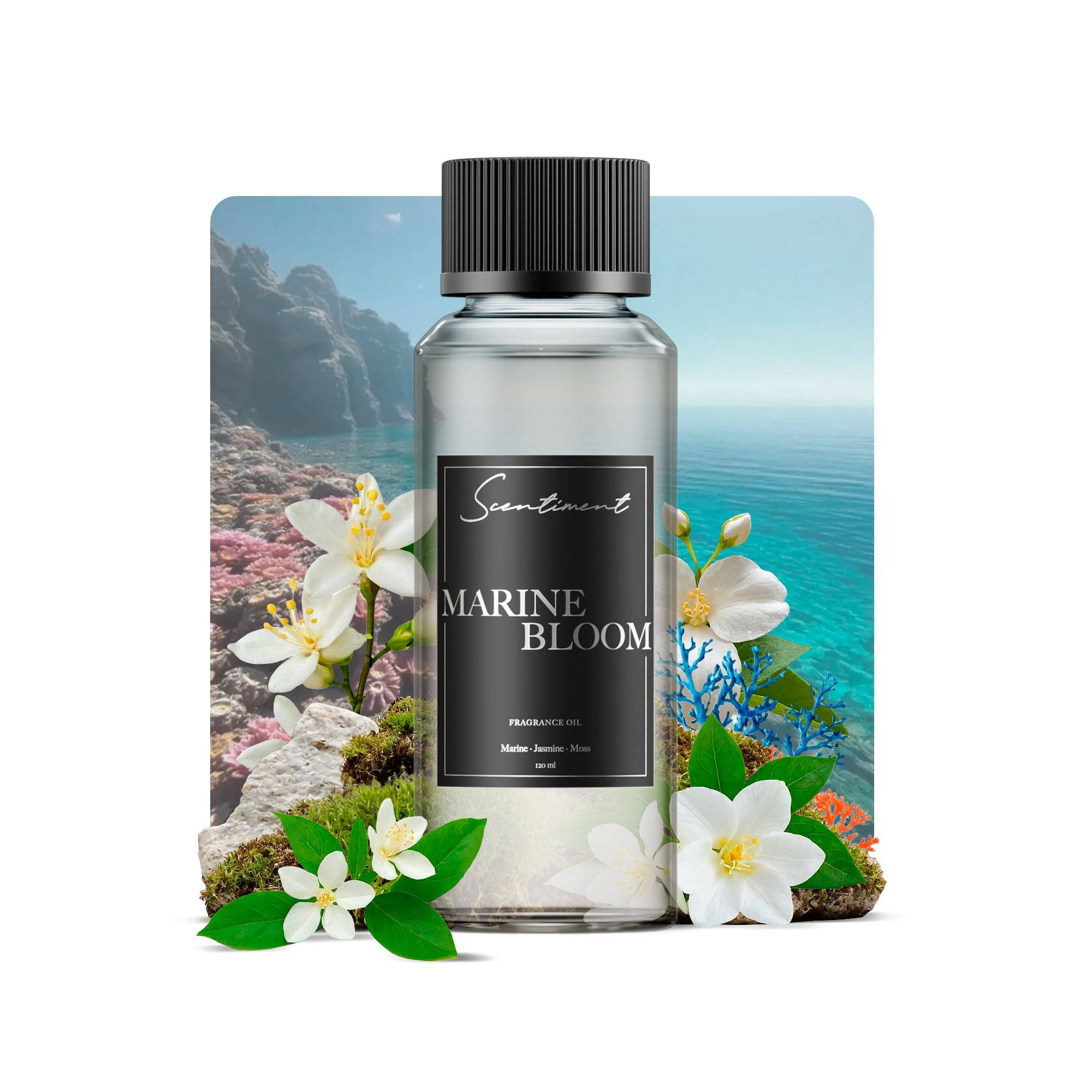 Marine Bloom Aquatic Plant Supplement