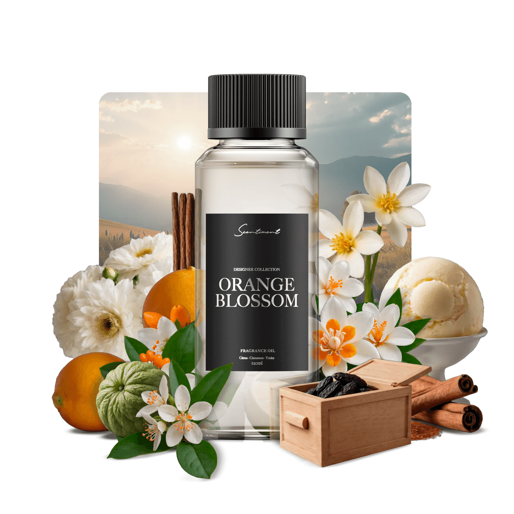 Fresh Orange Blossom Fragrance