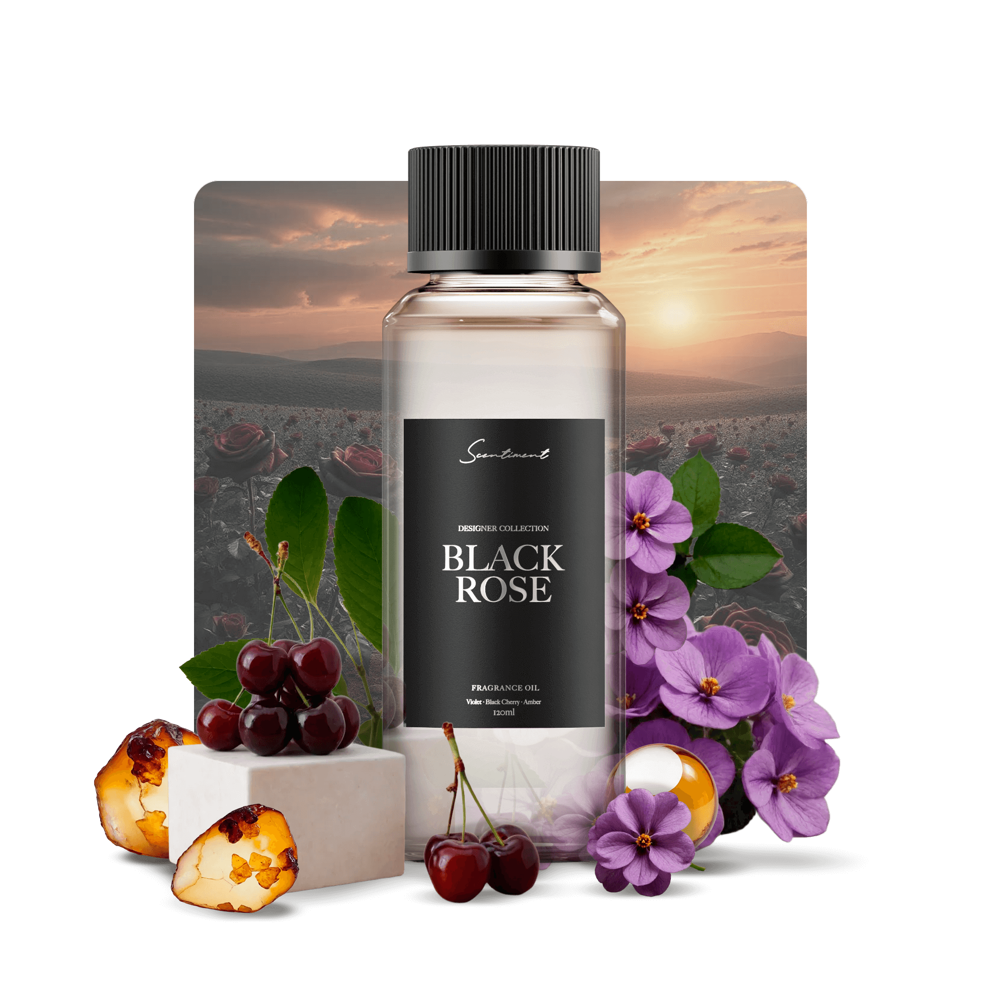 Black Rose Perfume – Elegant Floral Fragrance