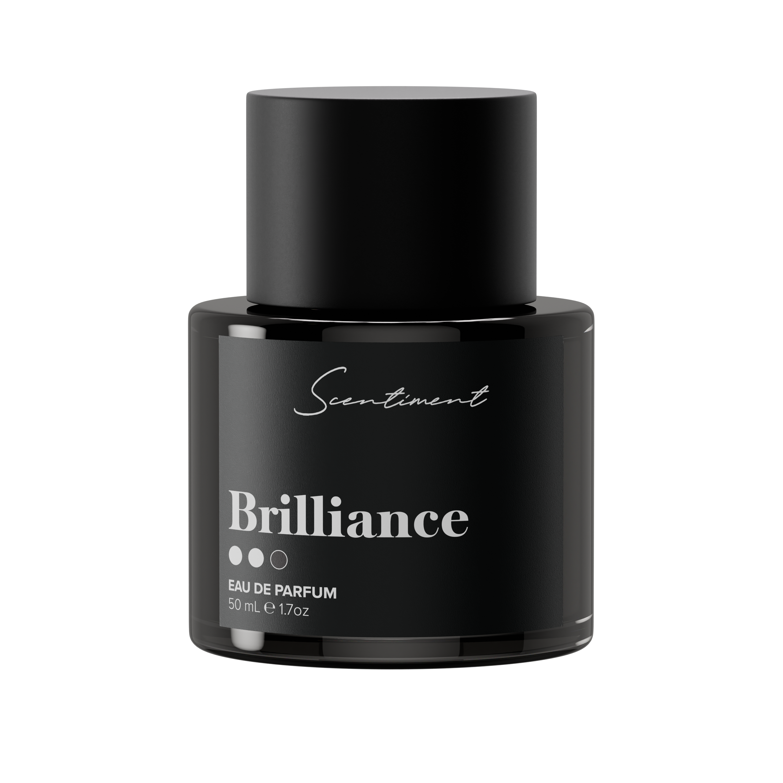 Brilliance: Elegant Jewelry for Everyday Glamour