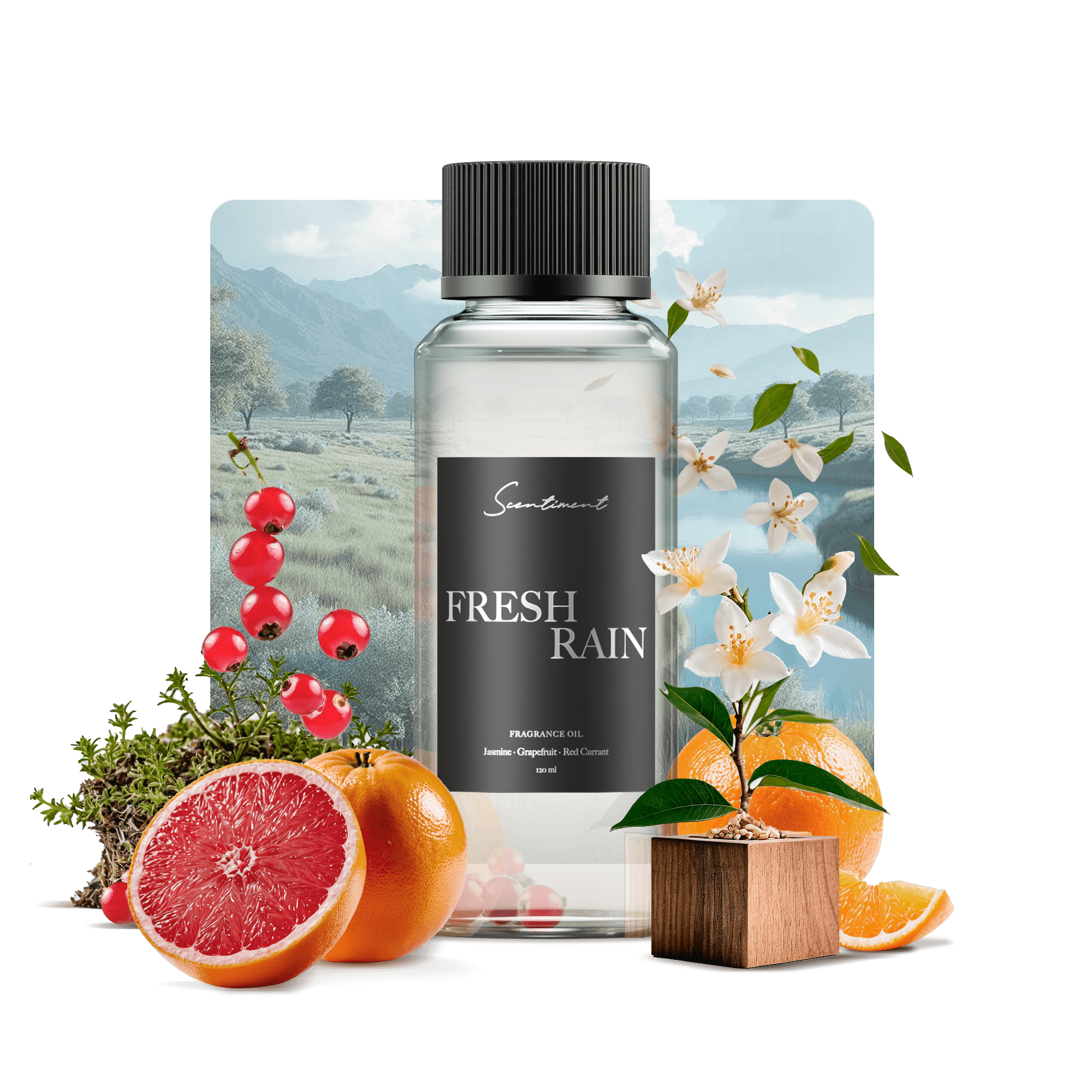 Fresh Rain Scent for Home & Office
