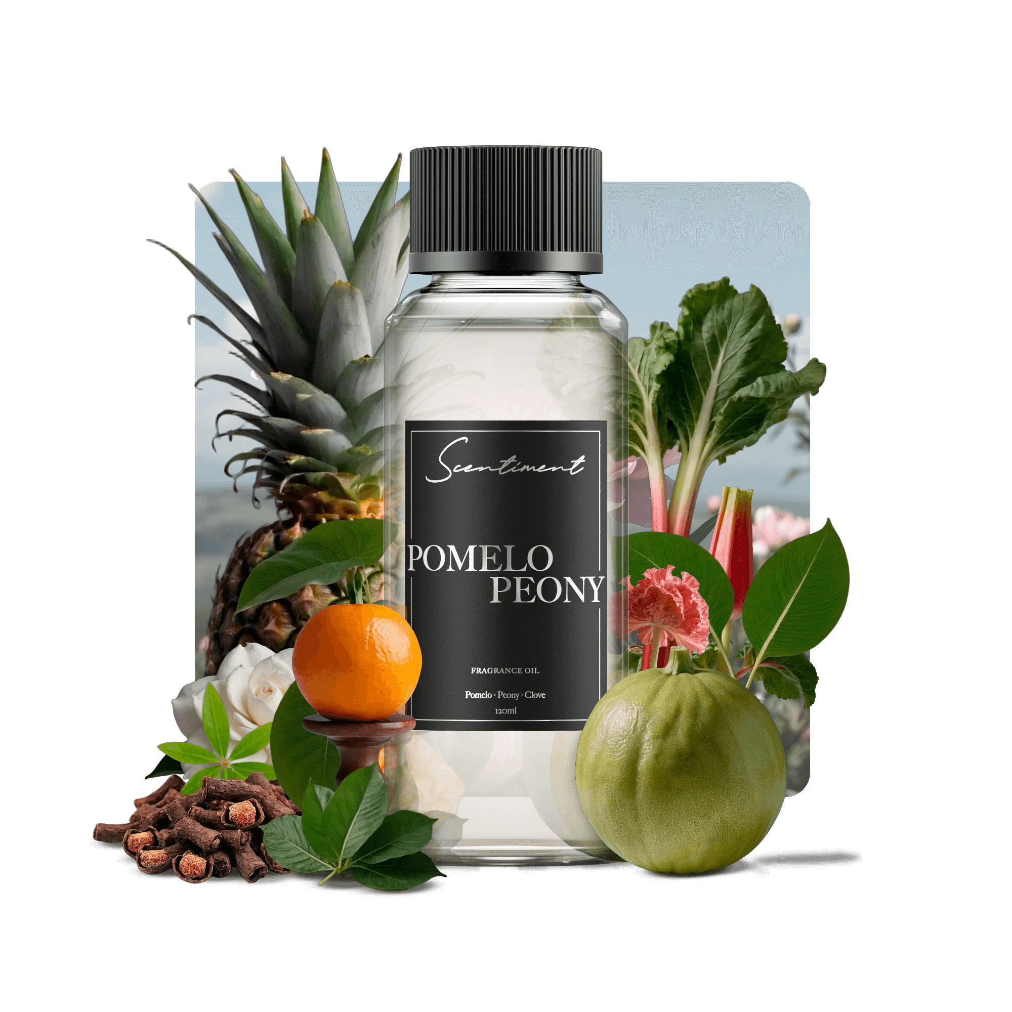 Pomelo Peony Fragrance Oil for Aromatherapy
