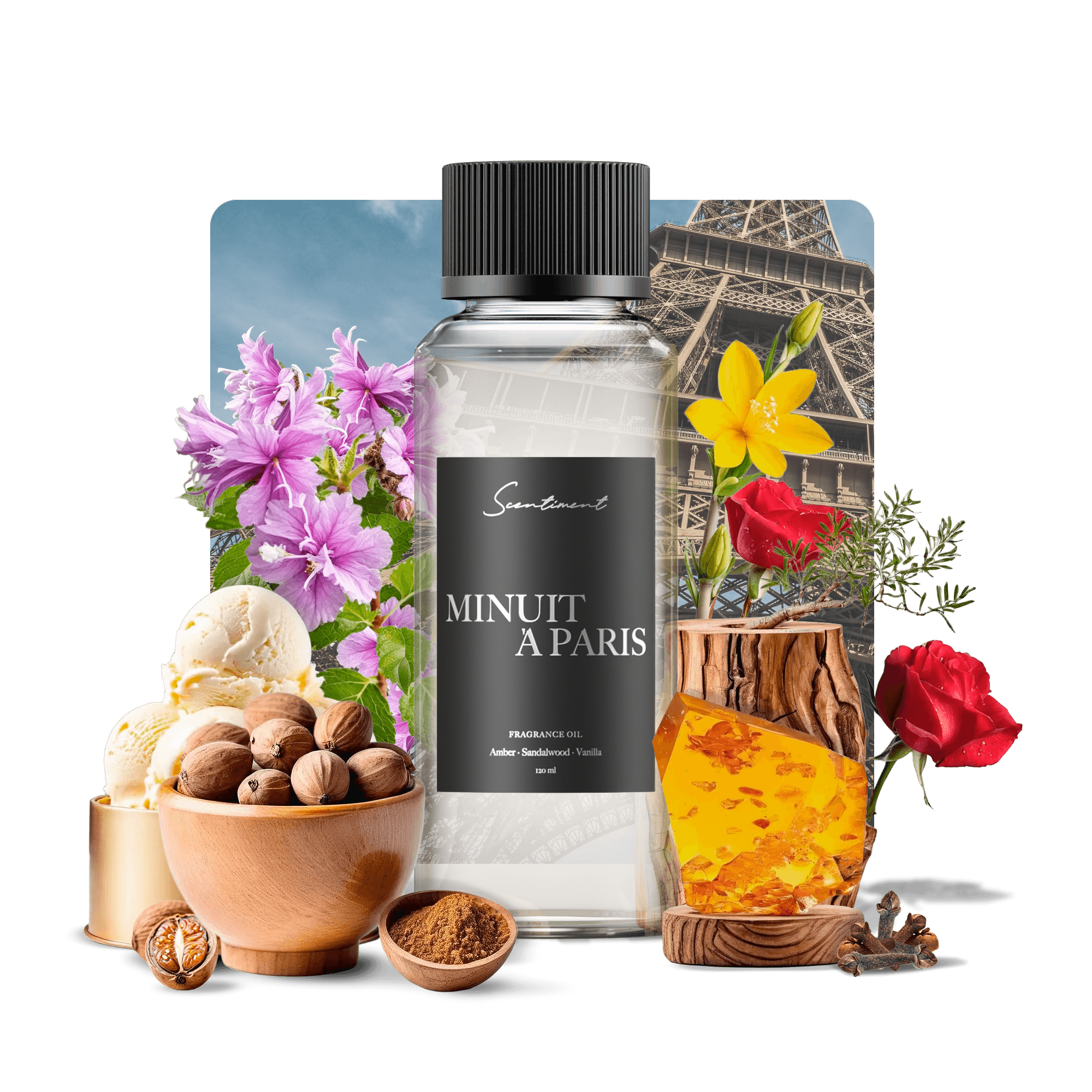 Minuit à Paris Perfume – Elegant Floral Scent