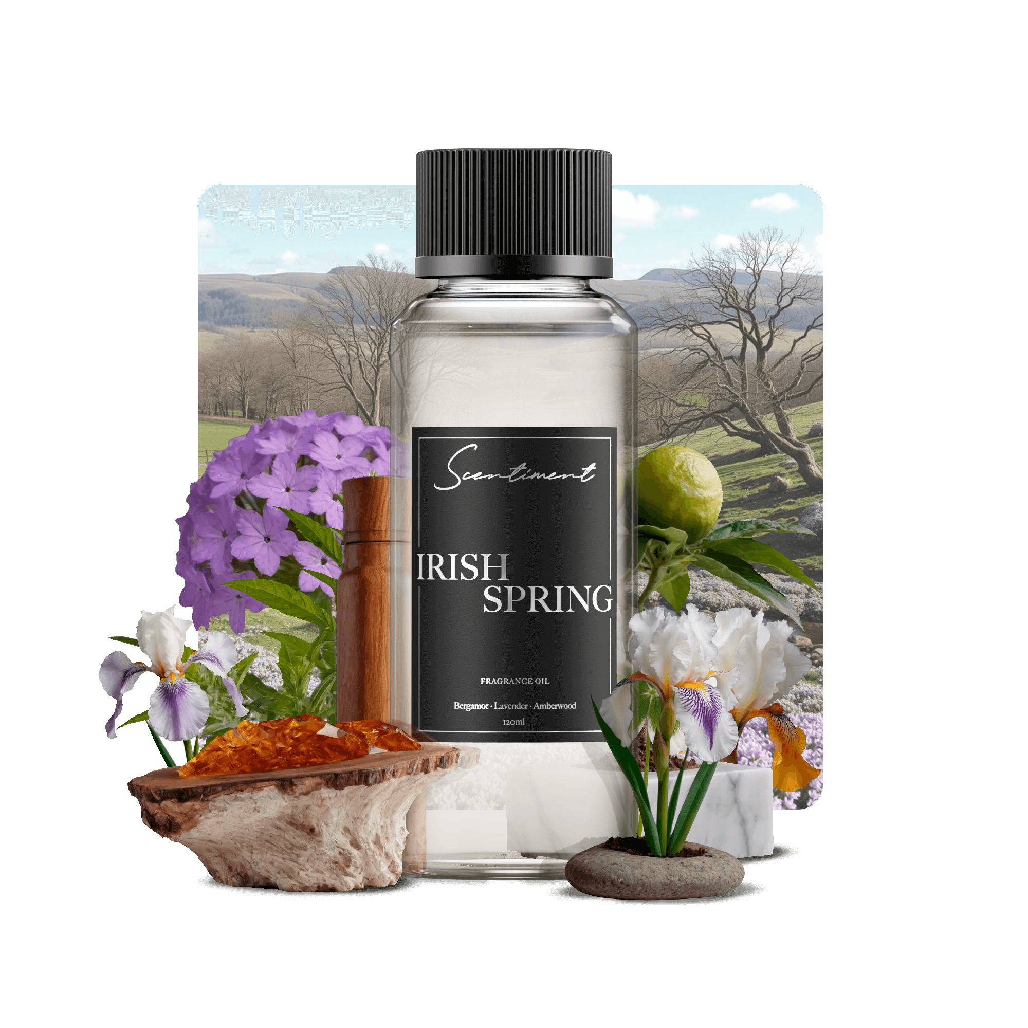 Irish Spring Soap Bar for Freshness
