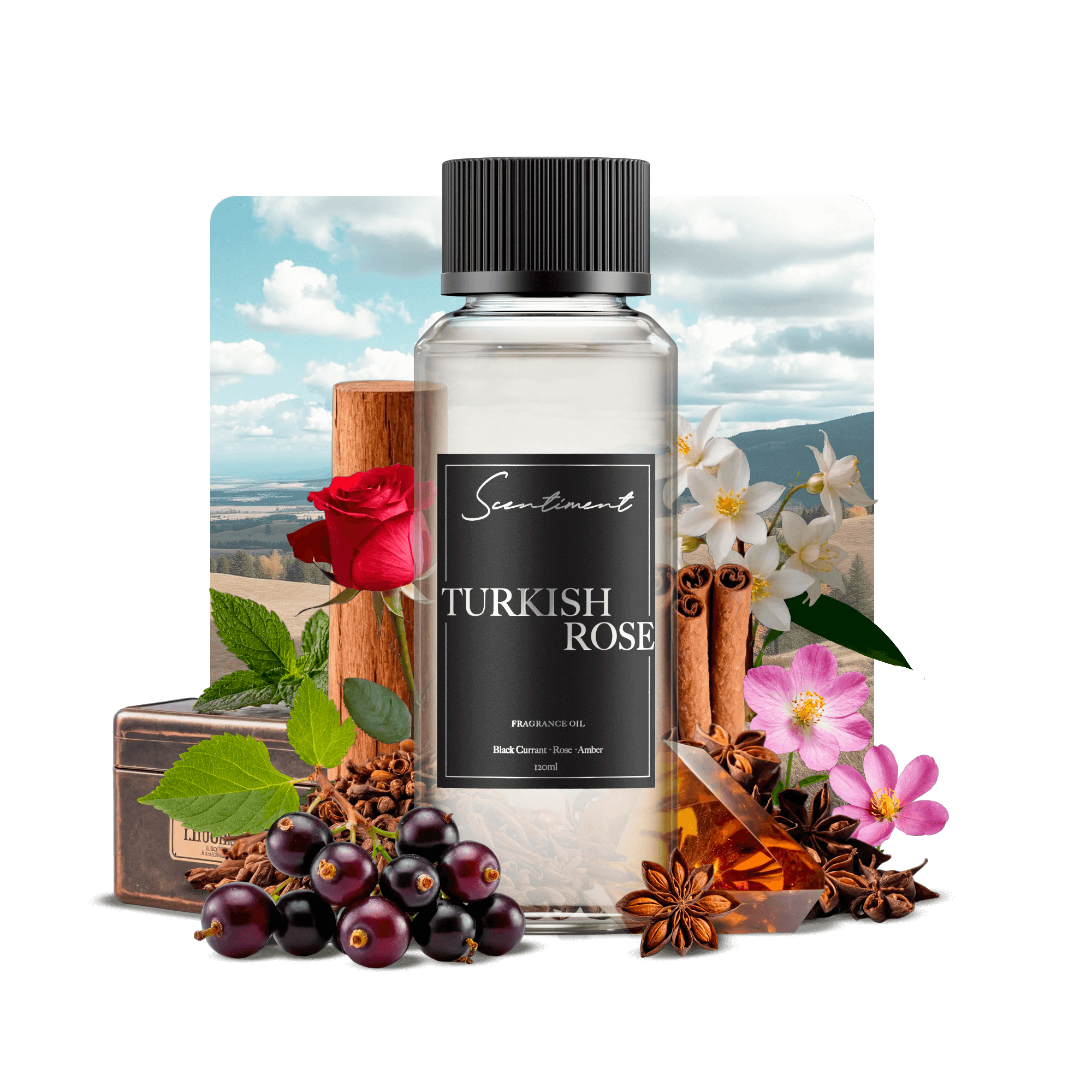 Premium Turkish Rose for Skincare & Tea