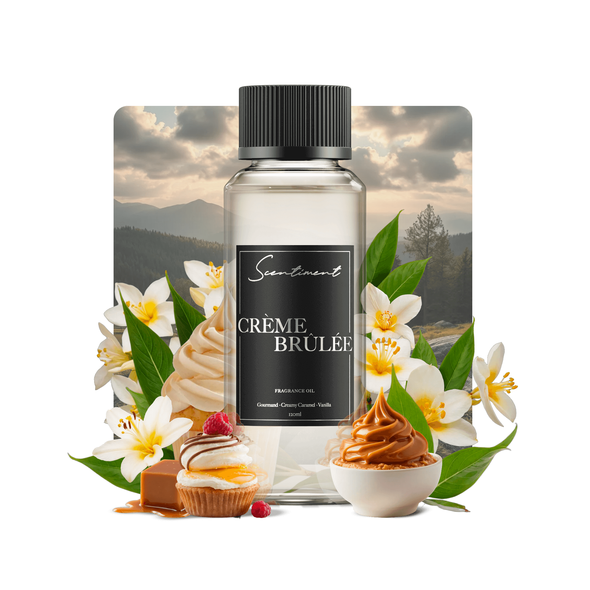 Classic Creme Brulee Dessert Kit