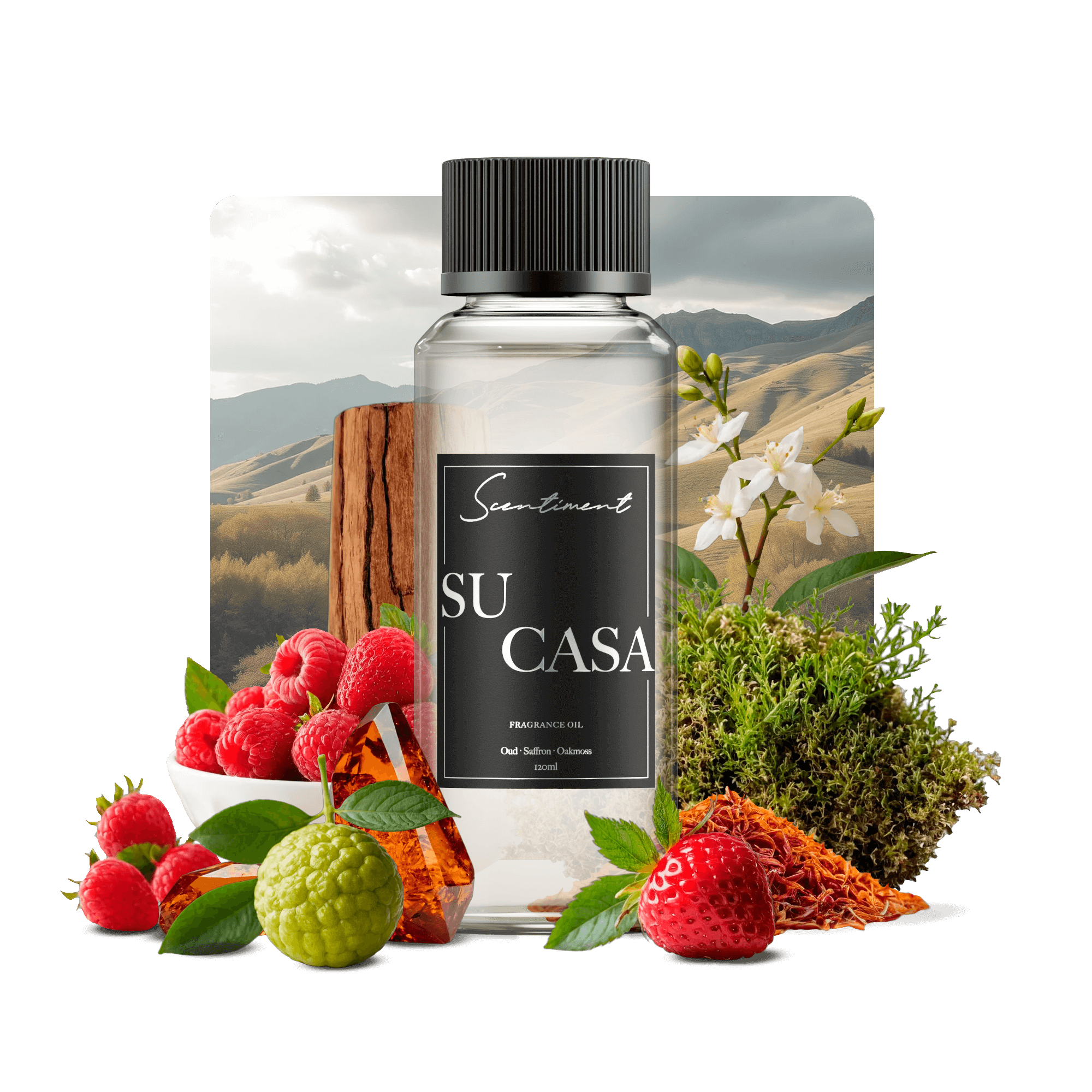 Su Casa Home Decor Essentials