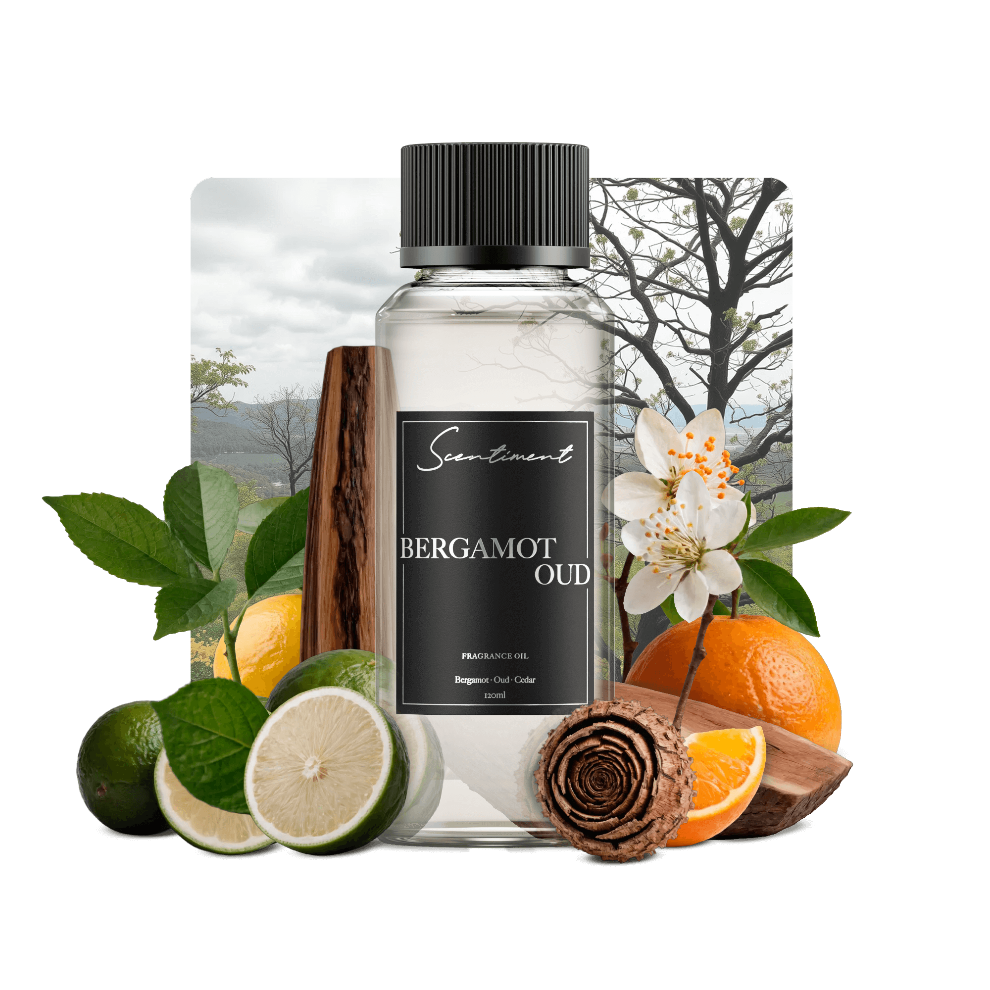 Bergamot Oud Fragrance Oil for Aromatherapy