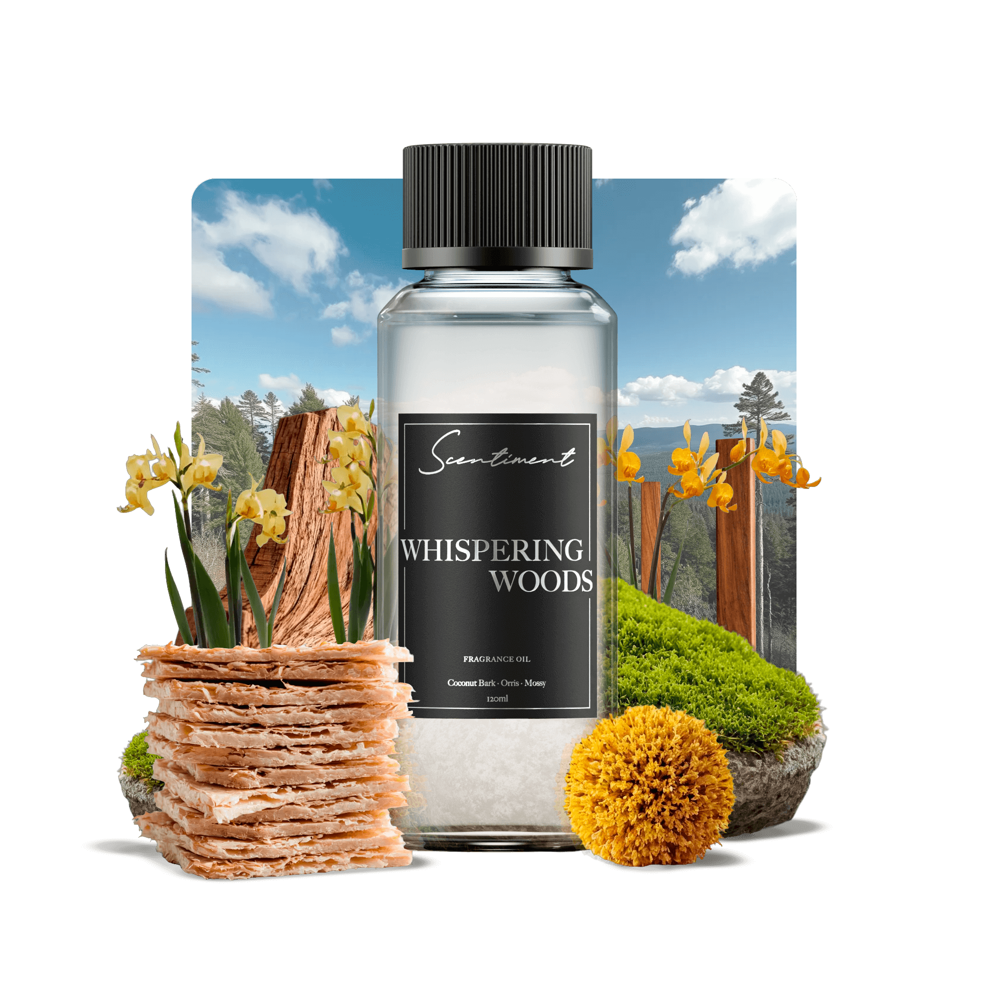 Whispering Woods Scented Candle for Relaxation