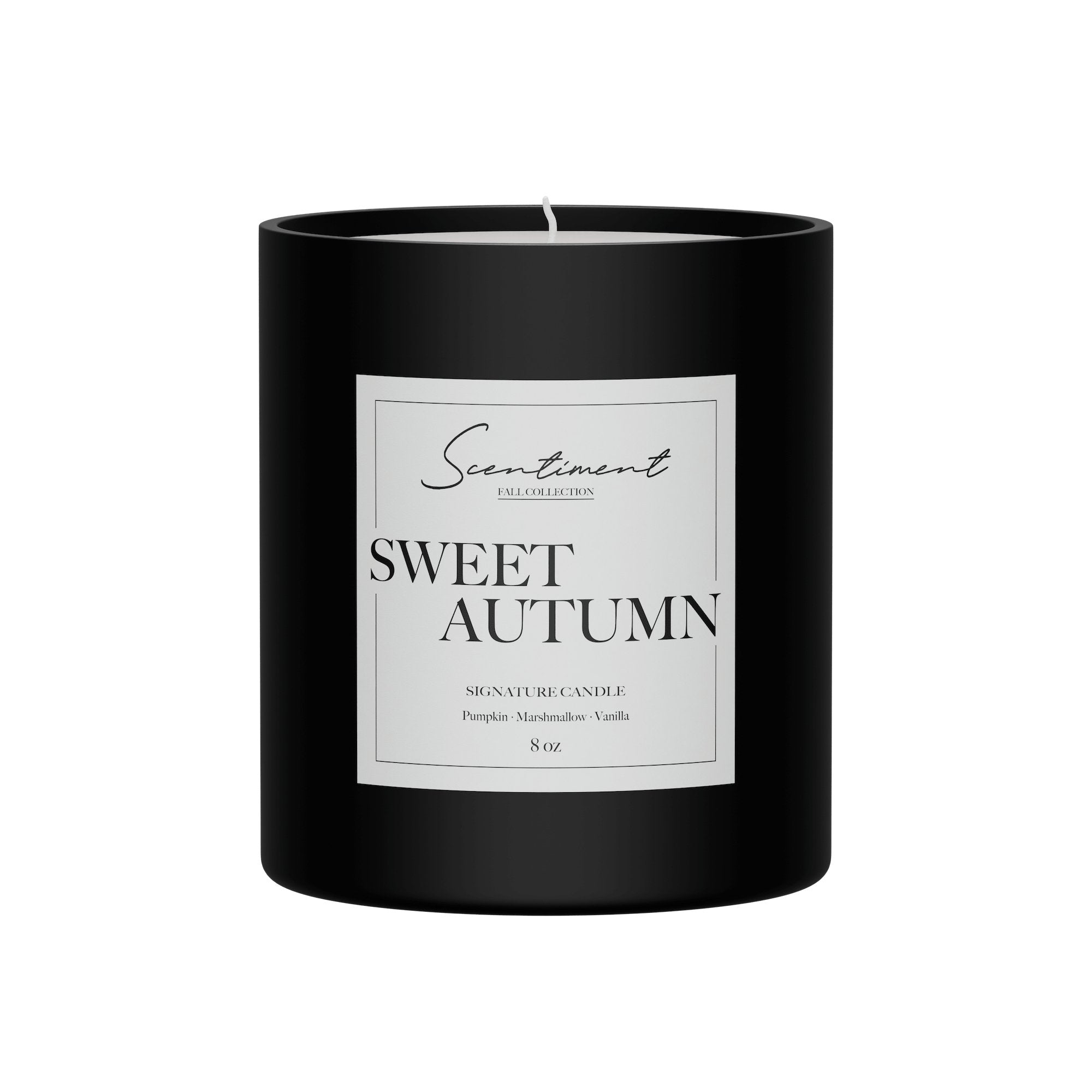 Autumn Spice Scented Candle