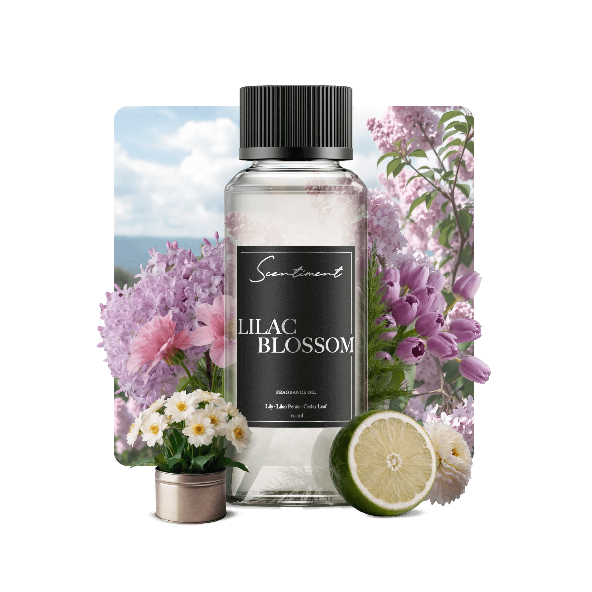Fresh Lilac Blossom Fragrance for Home & Gifting