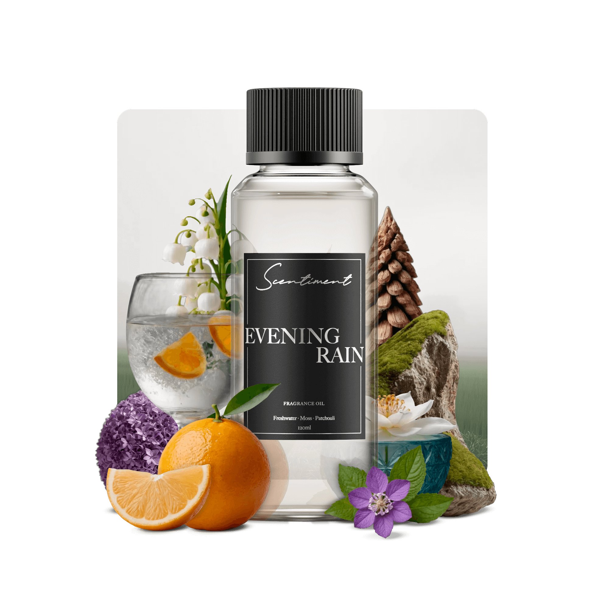 Evening Rain Fragrance Oil for Relaxation