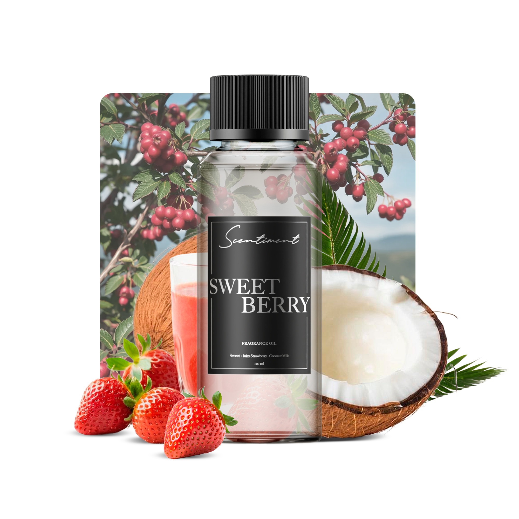 Sweet Berry Flavor